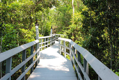 Fern Forest Nature Center